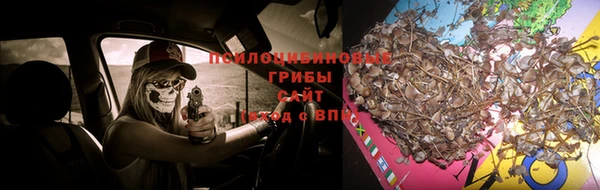 метадон Няндома