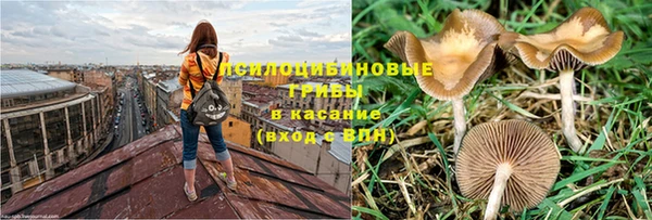 бутират Нязепетровск