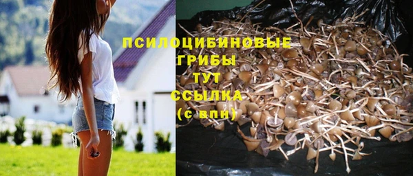 метадон Няндома
