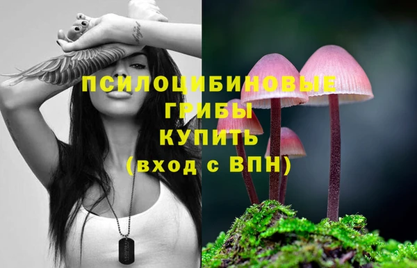 бутират Нязепетровск